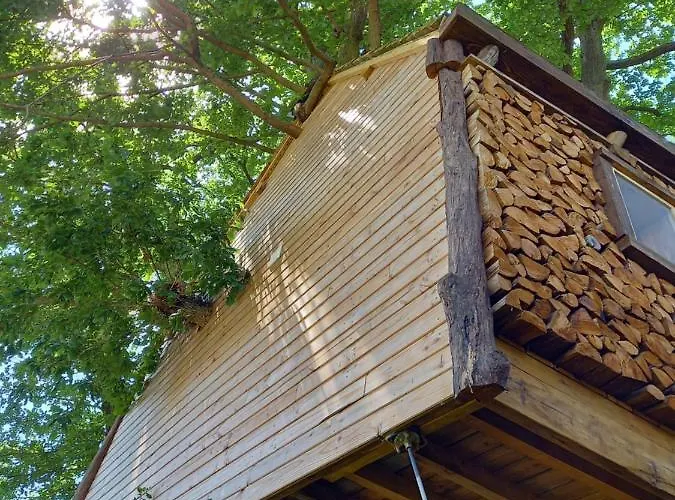 Cabane suspendue dans les arbres