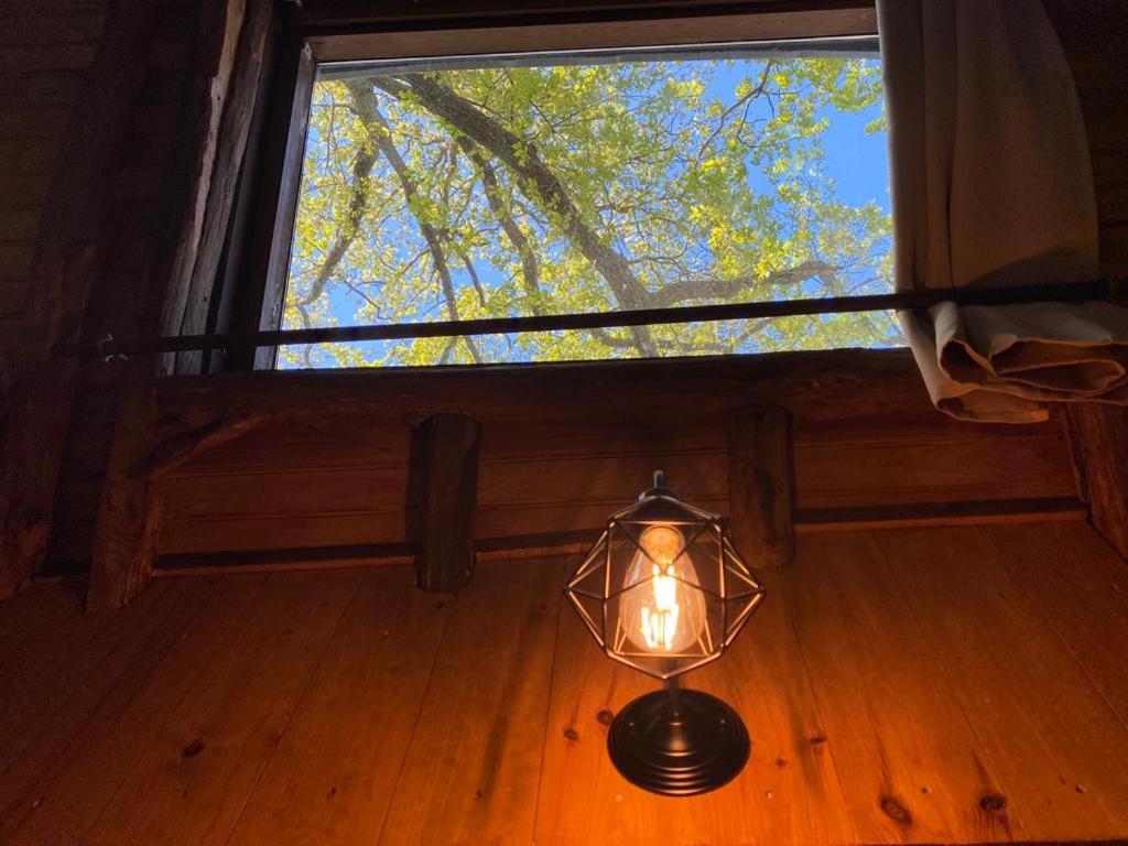 Suspendue Dans Les Arbres Chalet