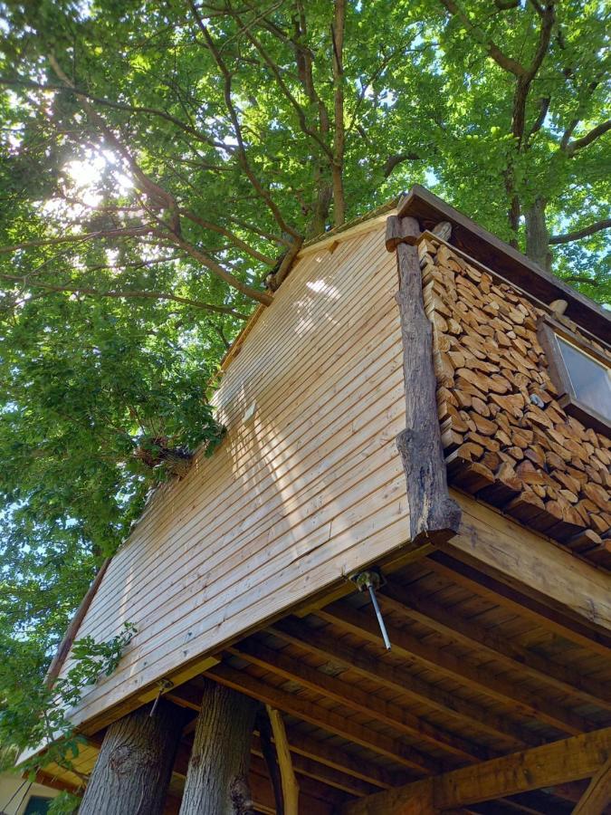 Suspendue Dans Les Arbres Chalet *